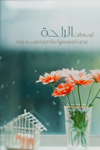 wallpapers iphone (24).jpg